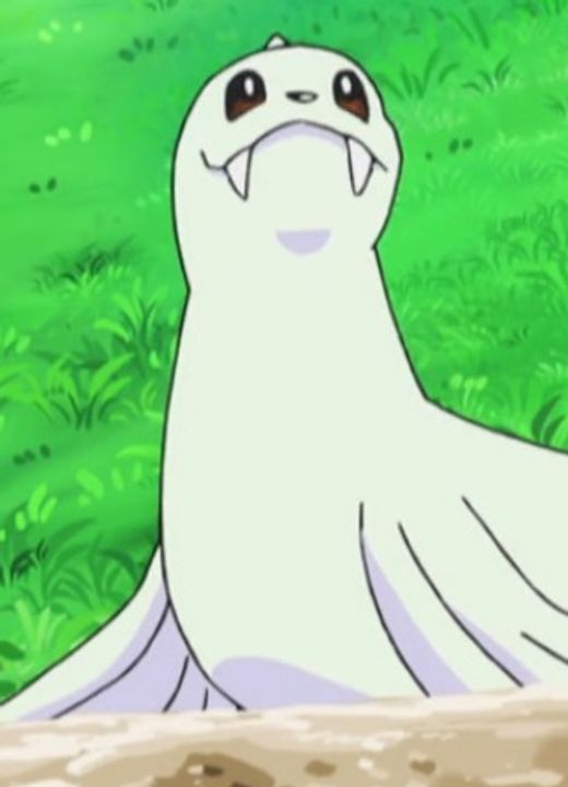 Dewgong Pokémon