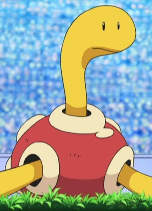 Shuckle Pokémon: Diamond & Pearl