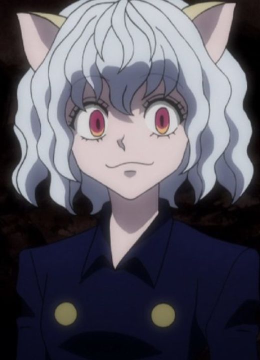 Pitou Hunter x Hunter (2011)