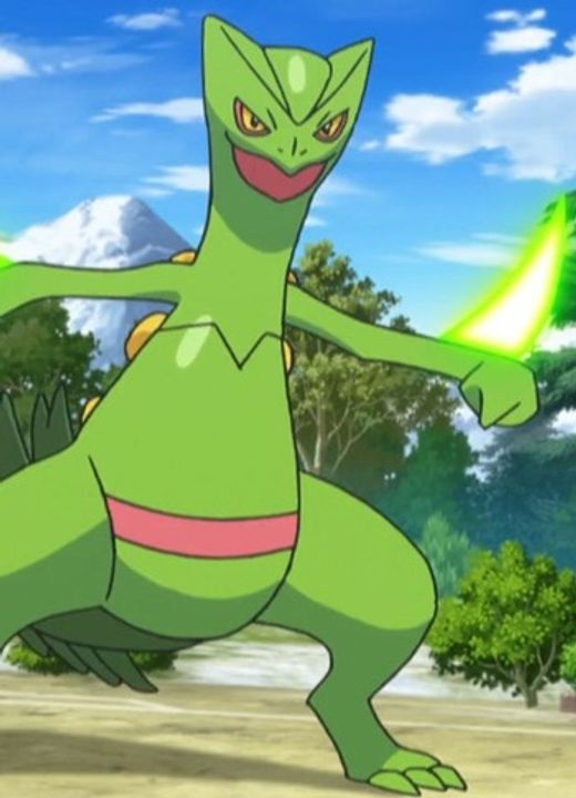 Sceptile Pokémon Advanced