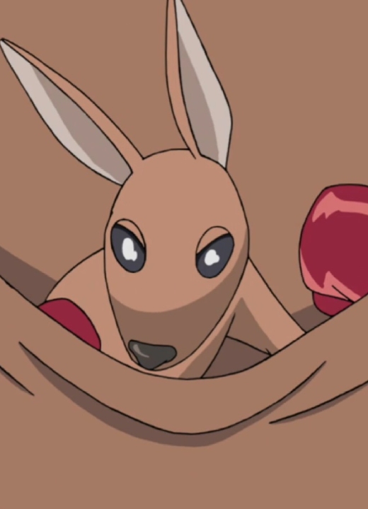 Baby Boxing Kangaroo Naruto Shippuden