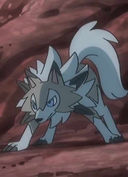 Lycanroc (Midday Form) Pokémon Sun & Moon