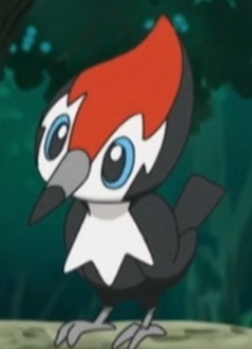 Pikipek Pokémon Sun & Moon