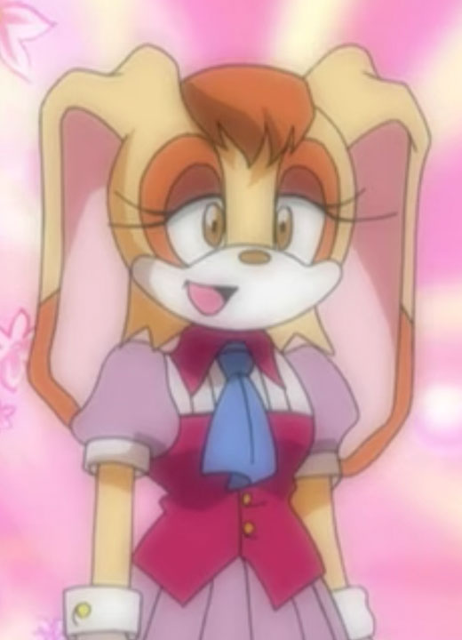 Vanilla the Rabbit Sonic X