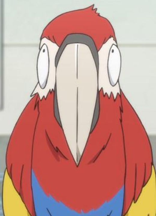 Master Raku Nisekoi: